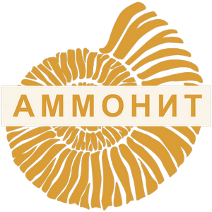 Аммонит